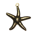 Estrella de Mar